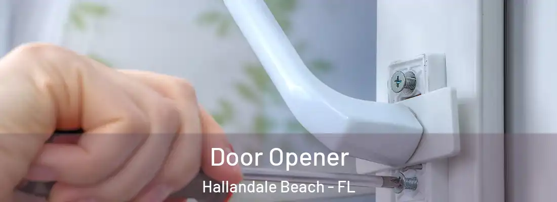 Door Opener Hallandale Beach - FL