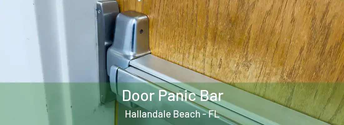 Door Panic Bar Hallandale Beach - FL