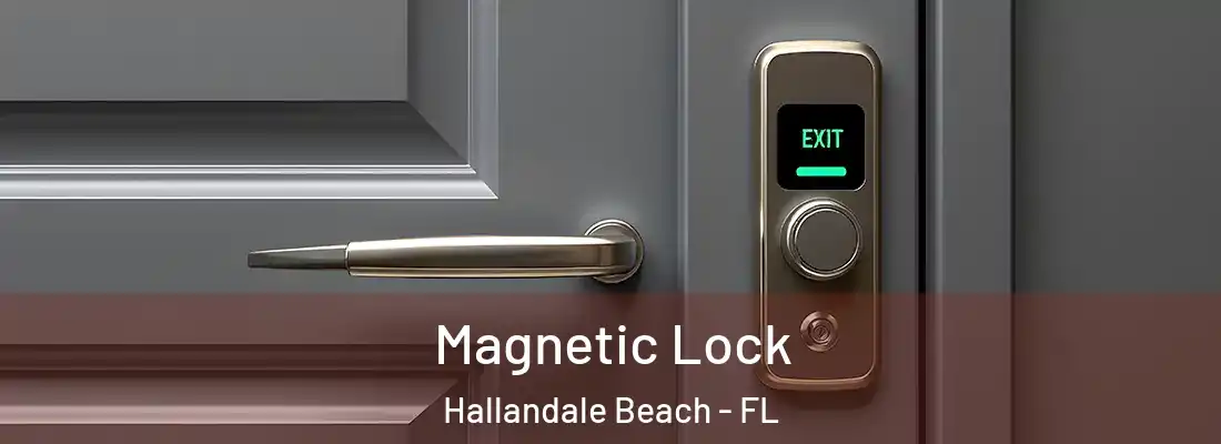 Magnetic Lock Hallandale Beach - FL